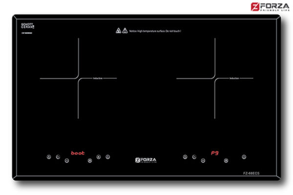 Bếp Đôi FZ-68 ECS