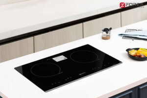 Bếp đôi 1 từ 1 hồng ngoại FZ-69 EC