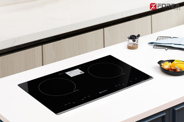 Bếp đôi 1 từ 1 hồng ngoại FZ-69 EC