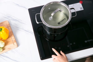 Bếp Từ Và Hồng Ngoại FZ-69 ECS