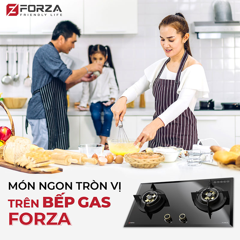 Món ngon tròn bị bới bếp gas Forza