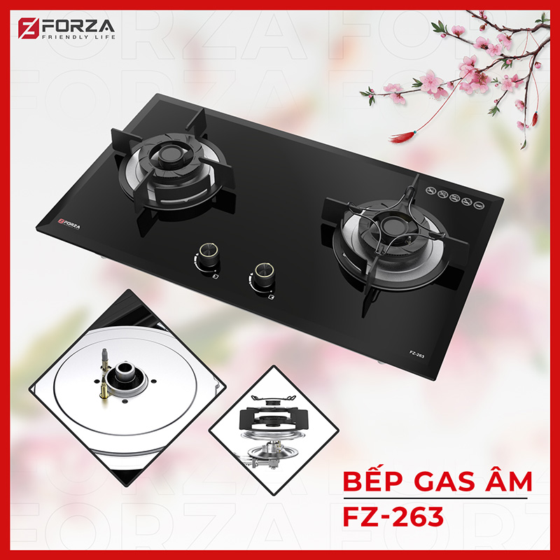 Bếp gas FORZA 1