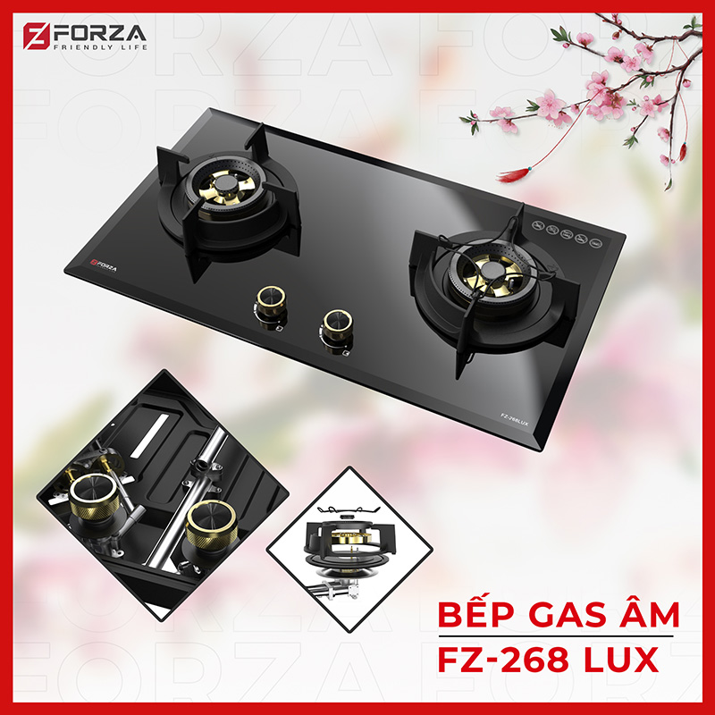 Bếp gas FORZA 2