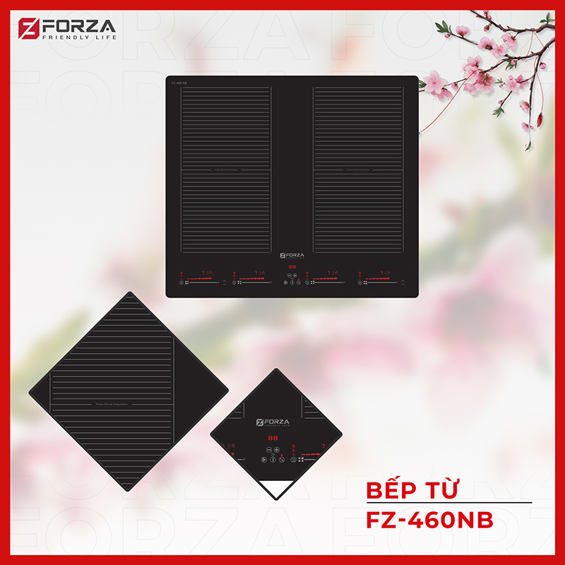 Bếp từ FORZA