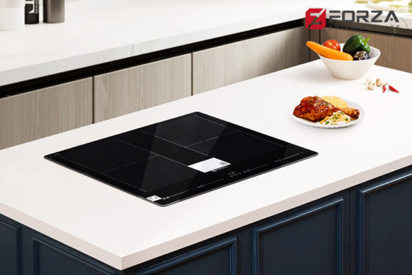 Bếp từ đa điểm FZ - 460NB