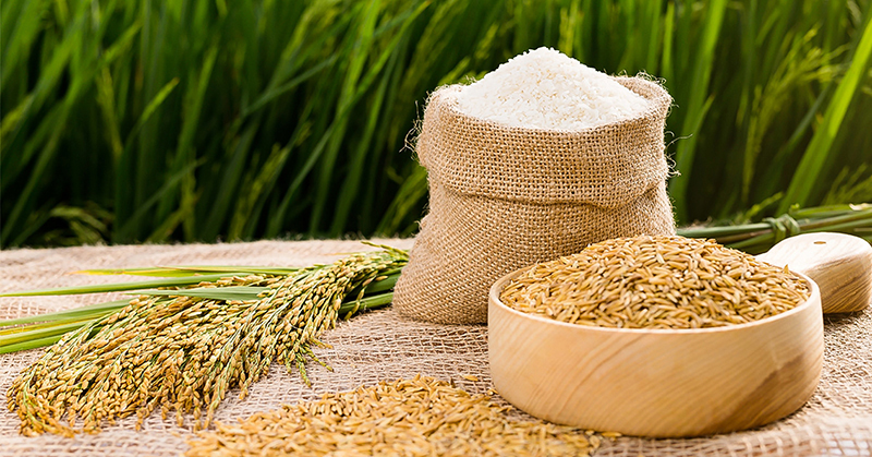 Các mẹo bảo quản gạo đơn giản 
