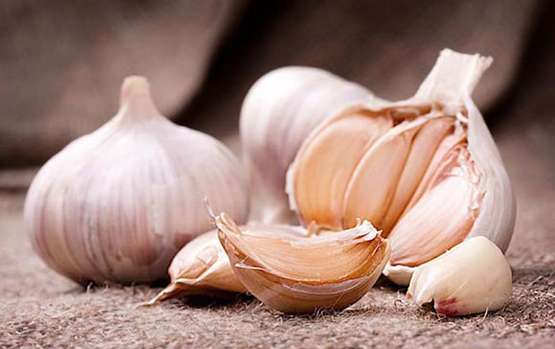 Các mẹo bảo quản gạo đơn giản 