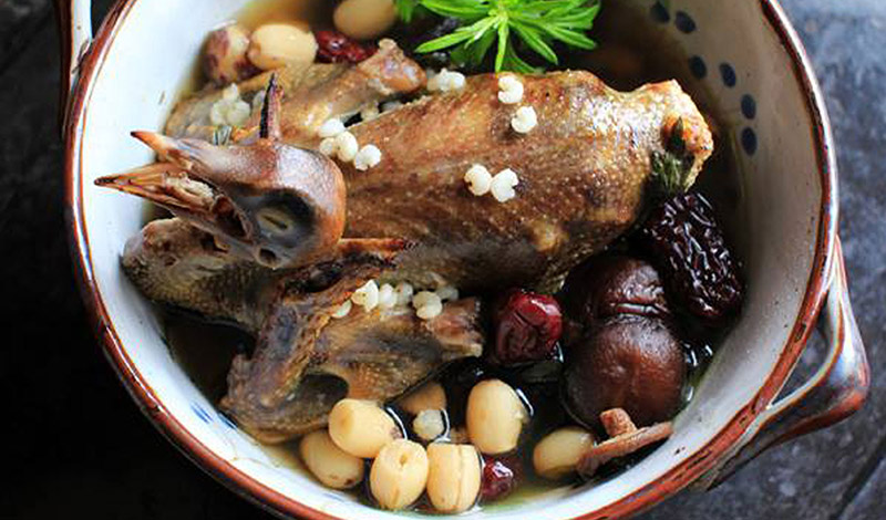 Bồ câu hầm