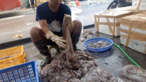 Hải sản ngâm hóa chất