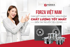 "Best Seller" Của Forza Việt Nam Năm 2022