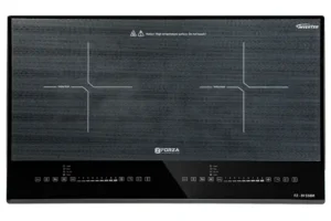 BẾP ĐÔI 2 TỪ FZ - IH 558M